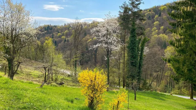 Frühlingslandschaft mit blühenden Bäumen und Sträuchern, umgeben von grünen Hügeln unter blauem Himmel.