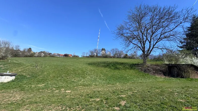 Grüne Wiese mit einem Baum und Blick auf entfernte Häuser unter blauem Himmel.