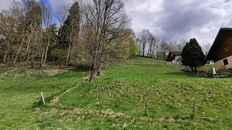 Grüne Hügellandschaft mit Bäumen und Häusern im Hintergrund unter bewölktem Himmel.