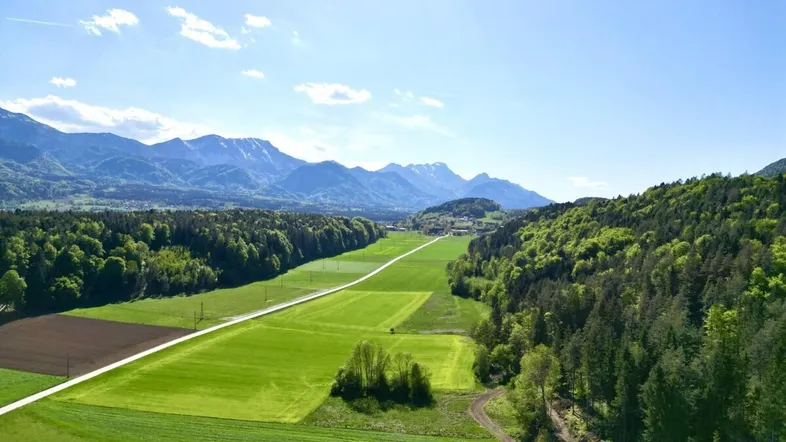 Weitläufige Landschaftsaufnahme mit grünen Feldern, dichten Wäldern und majestätischen Bergen im Hintergrund unter blauem Himmel.