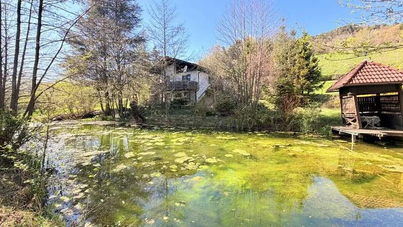 Idyllisches Anwesen mit Teich und kleinem Pavillon, umgeben von grüner Natur und Bäumen.