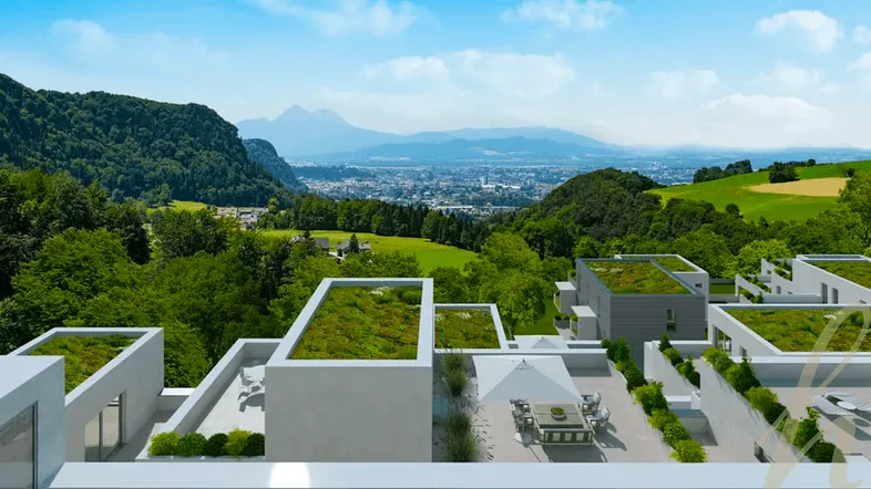 Petra Huber Immobilien
