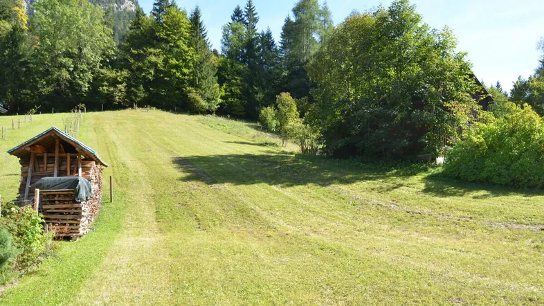 Ländliche Landschaft mit grünen Wiesen, Wald und einem Holzschuppen in den Bergen.