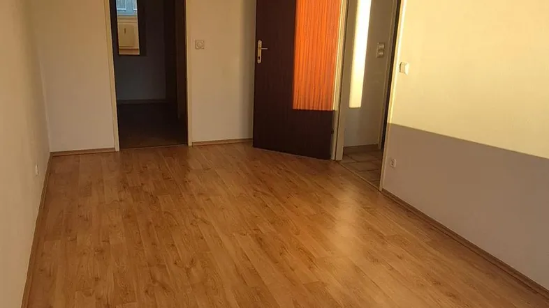 Helles Zimmer mit Laminatboden und Holzdeckenverkleidung, durch die Türen gelangt man in weitere Räume.