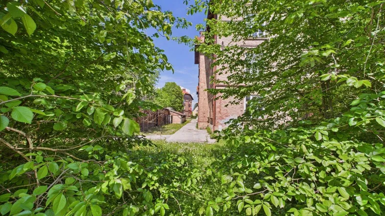 Blick durch dichtes Grün auf ein älteres Backsteingebäude und Nebengebäude im Hintergrund.