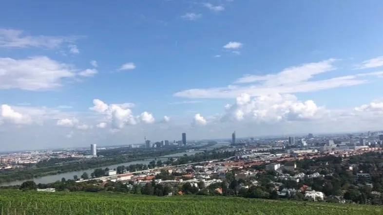 Panoramablick über grüne Weinberge auf die Stadt Wien mit der Donau und ihrer beeindruckenden Skyline.