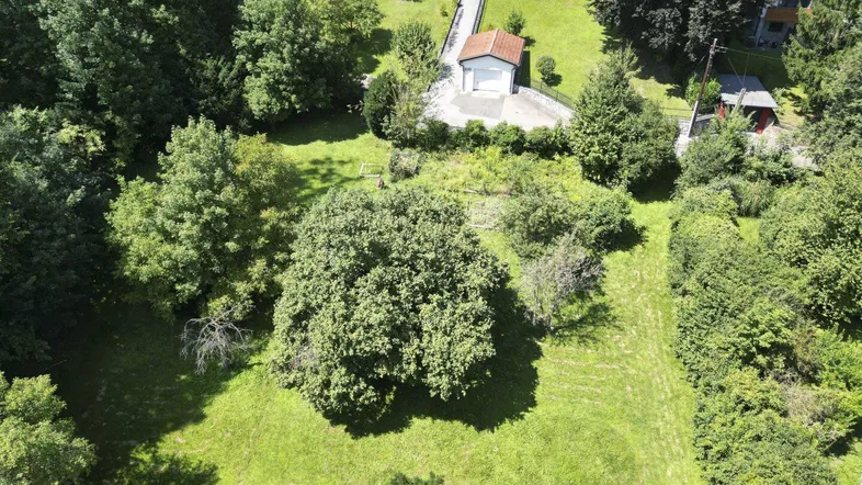 Luftaufnahme eines weitläufigen grünen Grundstücks mit Bäumen und umliegenden Häusern in sonniger Umgebung.