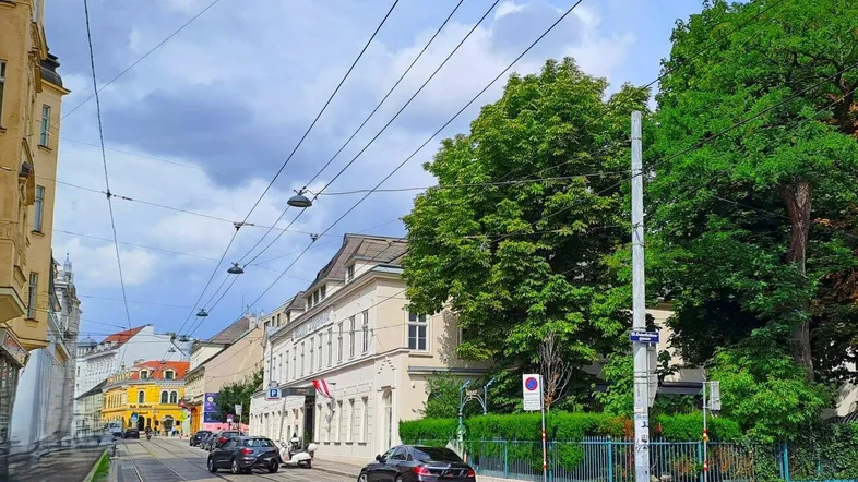 Blick auf eine belebte Straße mit Straßenbahnschienen, historischen Gebäuden und viel Grün.