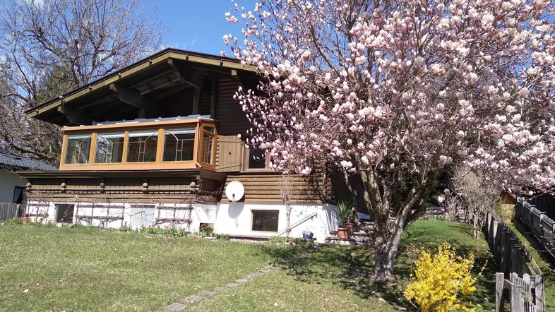 Traditionelles Holzhaus mit blühendem Magnolienbaum und gepflegtem Rasen im Frühling.