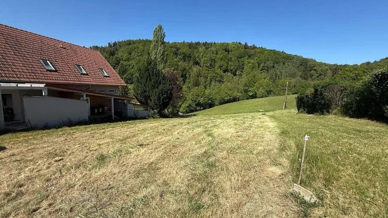 Weitläufiges Grundstück mit trockenem Gras, angrenzendem Haus und bewaldetem Hügel im Hintergrund.