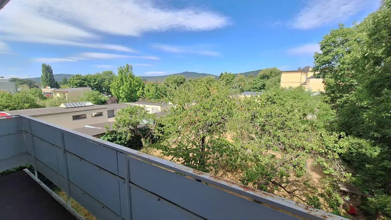 Balkon mit weitem Blick über grüne Bäume und die umliegende Landschaft unter blauem Himmel.