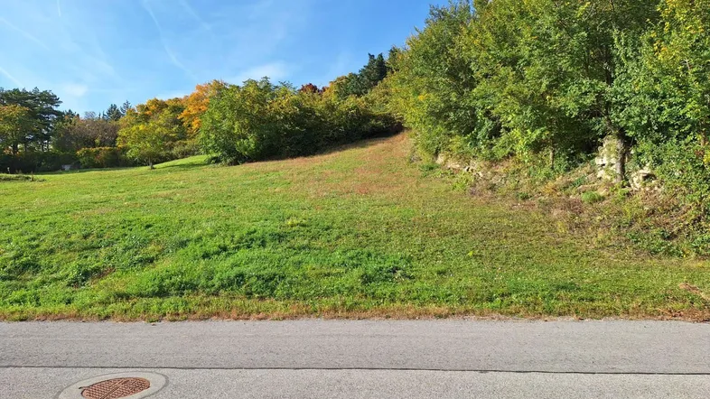 Grünes Grundstück mit leichter Hanglage, umgeben von Bäumen und einer asphaltierten Straße.