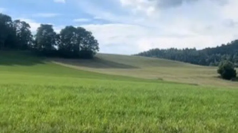 Weitläufige grüne Wiesen und bewaldete Hügel unter einem weiten blauen Himmel mit Wolken.