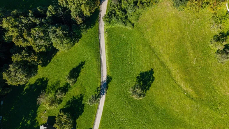Luftaufnahme einer kurvenreichen Straße, die sich durch grüne Wiesen und Wälder schlängelt.