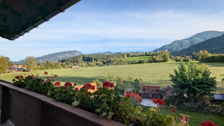 Panoramablick vom Balkon mit blühenden Geranien über grüne Wiesen und die umliegende Berglandschaft.