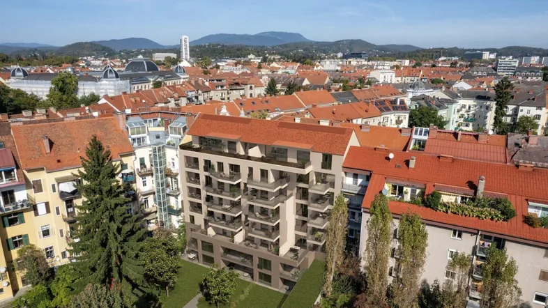 Slide 1