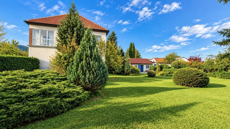 Großzügiger Gartenbereich mit gepflegtem Rasen und Nadelbäumen vor einem Einfamilienhaus.