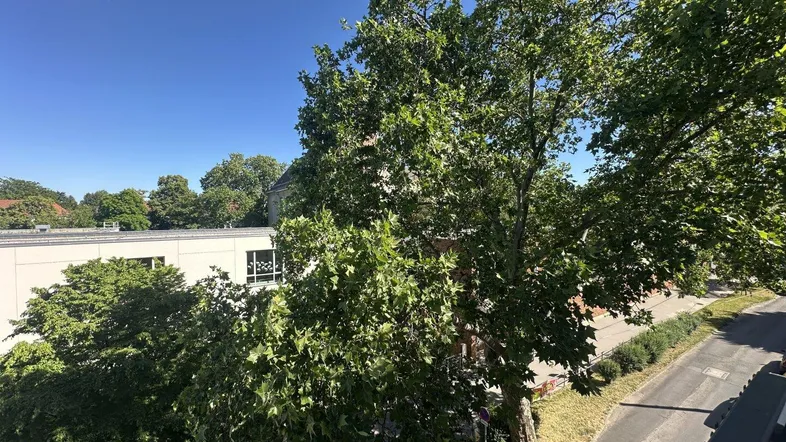 Sonniger Ausblick auf grüne Bäume und eine ruhige Straße von einem oberen Stockwerk.