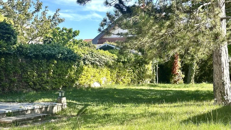 Großer, gepflegter Garten mit Rasenfläche, Bäumen und einer kleinen gepflasterten Terrasse.