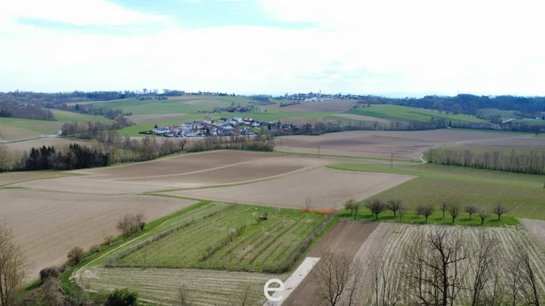 Luftaufnahme einer ländlichen Landschaft mit Feldern, Bäumen und einem Dorf in der Ferne unter bewölktem Himmel.