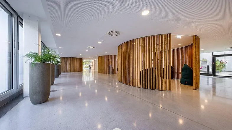 Moderner Flur mit geschwungenen Holzelementen, großen Fenstern und glänzendem Betonboden in einem Bürogebäude.