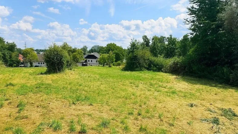 Weitläufiges Grundstück mit Wiesenfläche und Bäumen unter blauem Himmel.