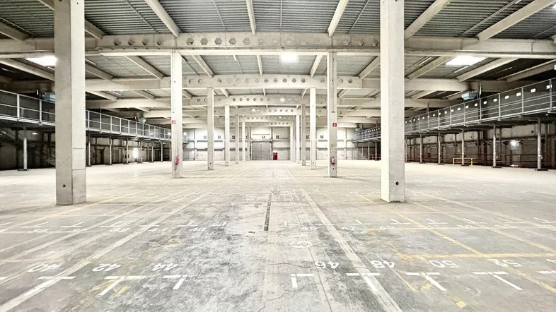 Große, leere Lagerhalle mit hohen Decken, Betonpfeilern und markiertem Betonboden, ideal für industrielle Nutzung.