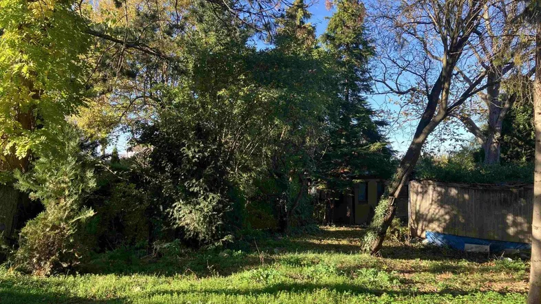 Großer, naturbelassener Garten mit viel Grün und Bäumen, ideal für Erholung im Freien.