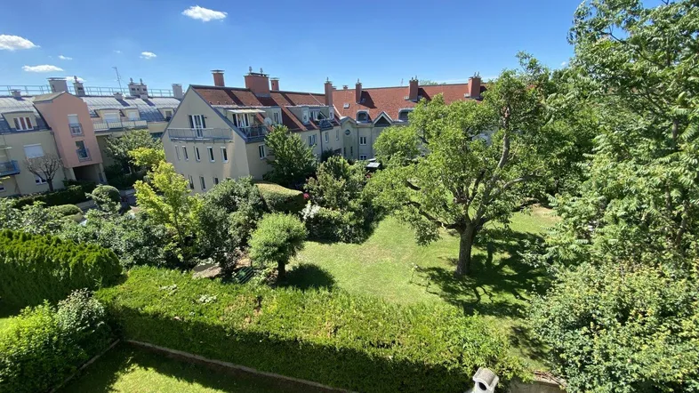 Weitläufiger Gartenbereich mit gepflegtem Rasen, altem Baumbestand und einem Grillplatz im Freien.