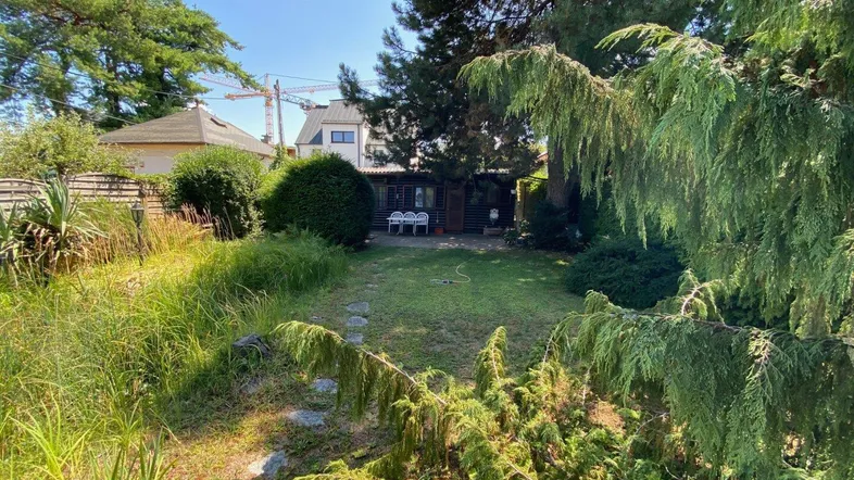 Großer Gartenbereich mit Rasenfläche, altem Baumbestand und einem kleinen Gartenhaus im Hintergrund.