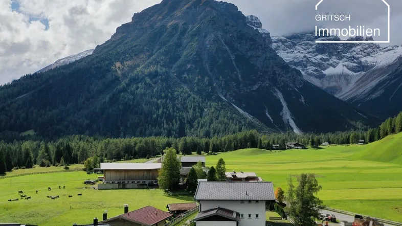 Panoramablick auf Häuser in einem grünen Tal mit majestätischen Bergen und bewaldeten Hängen.