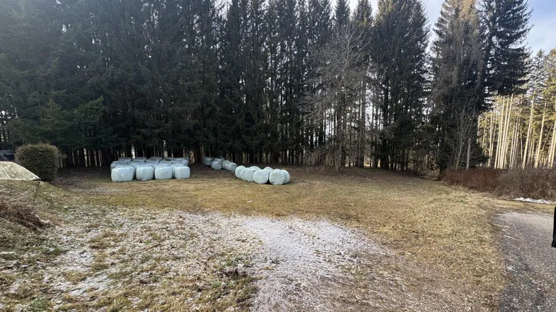 Weitläufiges Außengelände mit Nadelbäumen und gelagerten Heuballen, teilweise mit Schnee bedeckt.
