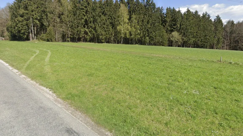 Weitläufige grüne Wiese neben einer Landstraße mit dichtem Wald im Hintergrund.