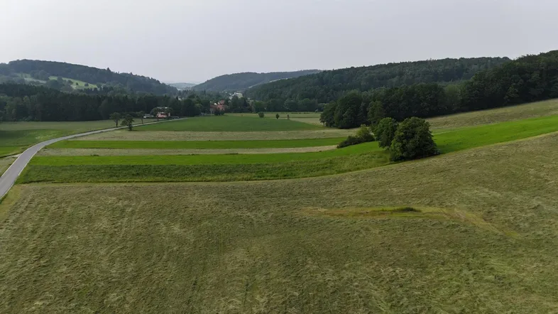 Luftaufnahme einer ländlichen Landschaft mit Feldern, Wäldern und einer Straße unter bewölktem Himmel.