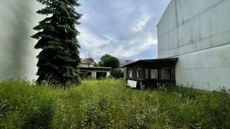 Verwilderter Gartenbereich mit hohem Nadelbaum und angrenzenden Gebäuden unter bewölktem Himmel.