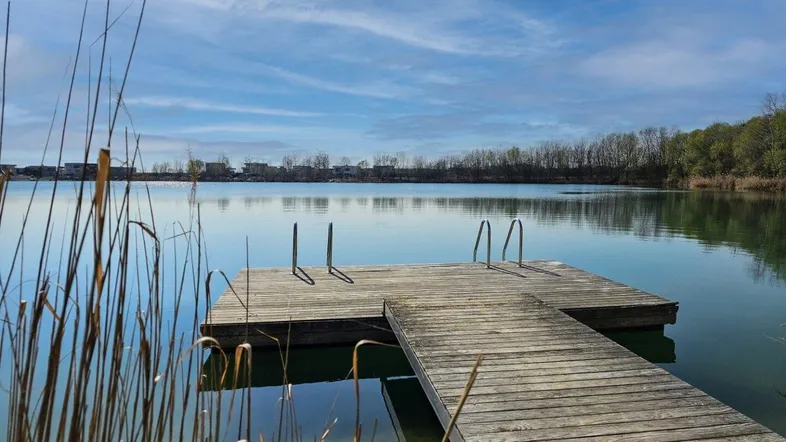 Holzsteg führt in einen ruhigen See unter blauem Himmel, umgeben von Schilf und Bäumen.