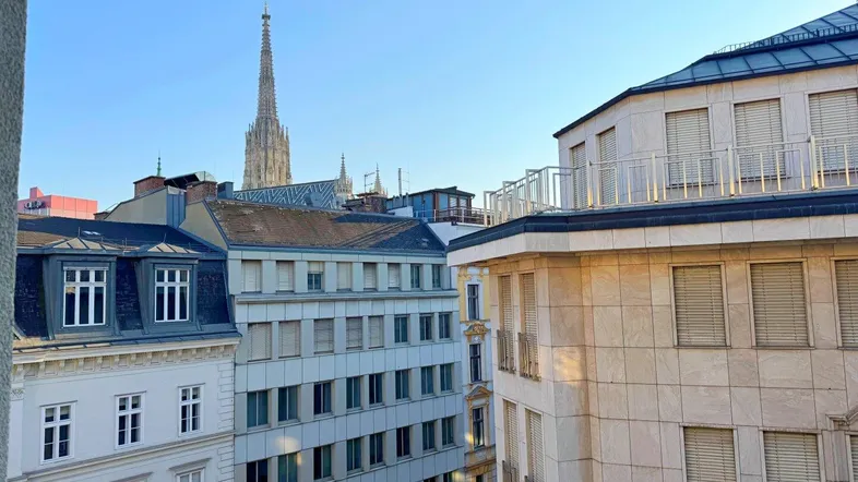 Blick über die Dächer der Stadt mit dem Stephansdom im Hintergrund und umliegenden Gebäuden.