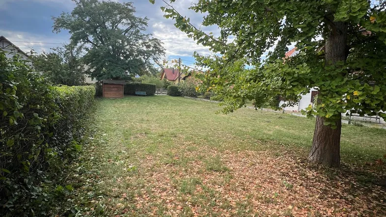 Geräumiger Gartenbereich mit Rasenfläche, Bäumen und einem kleinen Holzschuppen unter bewölktem Himmel.