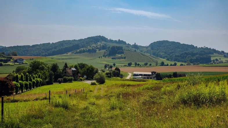 Weitläufige ländliche Landschaft mit grünen Hügeln, Feldern und vereinzelten Häusern unter blauem Himmel.