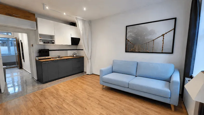 Heller offener Wohnbereich mit integrierter Küchenzeile, Holzfußboden und modernem Sofa.