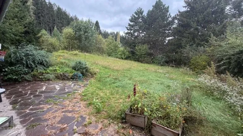 Gepflasterte Terrasse mit angrenzendem Gartenbereich und Blick auf den umliegenden Wald.