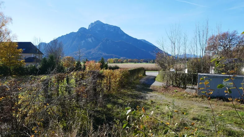 Weitläufige Landschaft mit majestätischem Bergpanorama und herbstlicher Vegetation unter blauem Himmel.