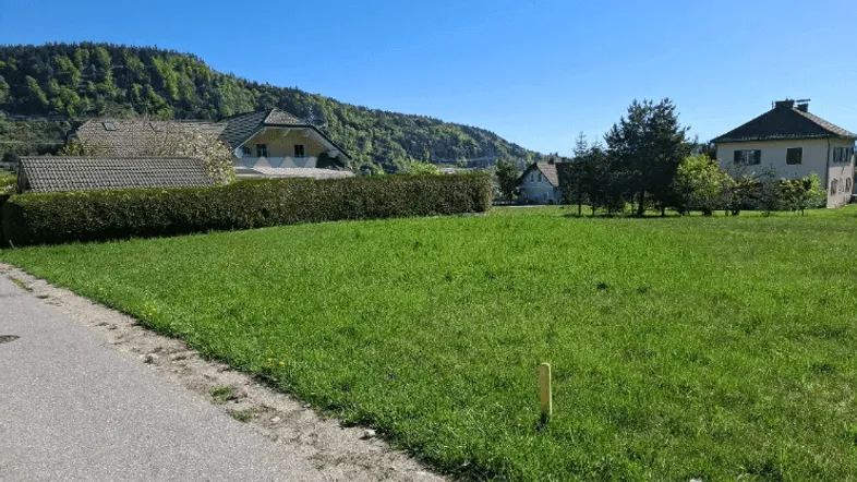 Grüne Wiese mit Hecke und Häusern im Hintergrund unter blauem Himmel an einem sonnigen Tag.