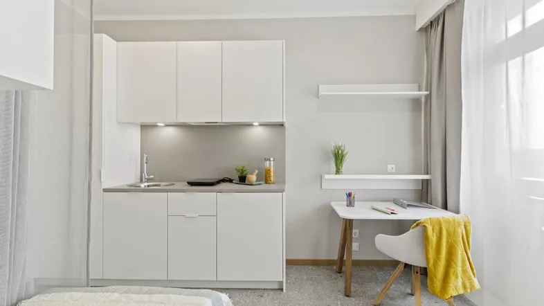 Helle Studio-Wohnung mit integrierter Küchenzeile, Schlafbereich und Arbeitsplatz am Fenster.