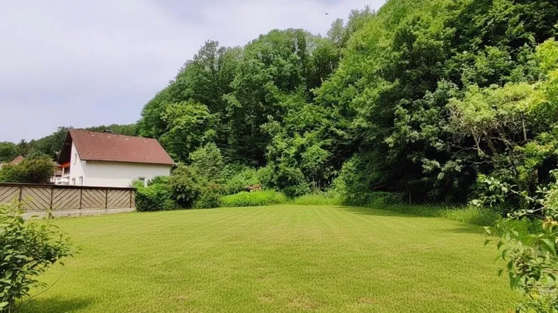Große grüne Rasenfläche mit angrenzendem Wald und einem Haus im Hintergrund.