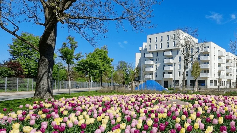 Blumen2