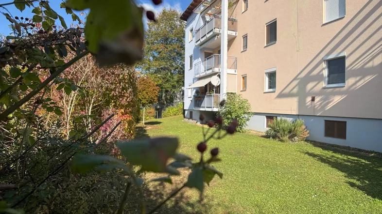 Mehrfamilienhaus mit gepflegter Rasenfläche und üppiger Bepflanzung im Herbstlicht.