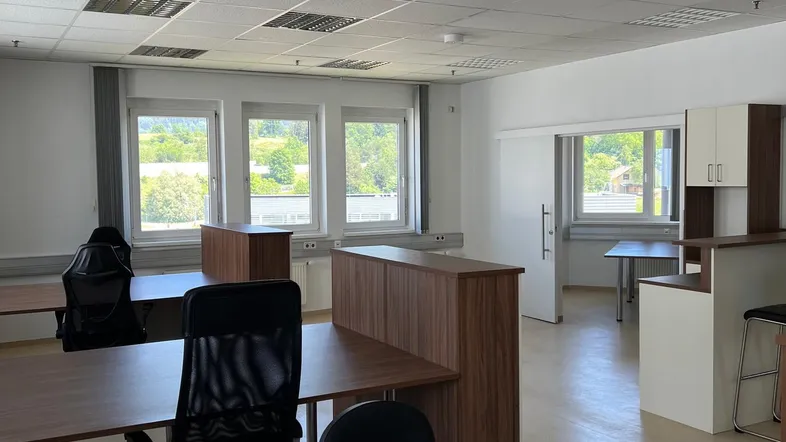 Großraumbüro mit mehreren Arbeitsplätzen, Holzmöbeln und Blick ins Grüne durch die Fenster.