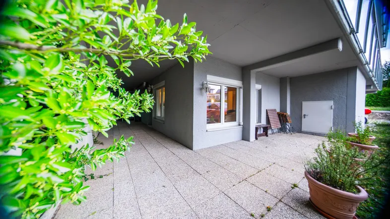 Große, gepflasterte Terrasse im Erdgeschoss mit Pflanzen und Sitzgelegenheiten.