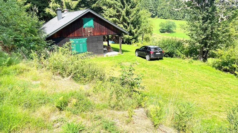 Blockhaus in ländlicher Umgebung mit viel Grün und einem geparkten Auto auf dem Rasen.